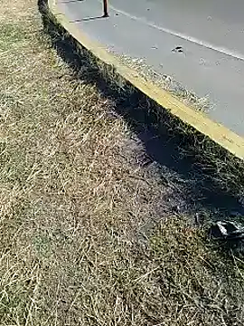 Snapshot of Alysson-- chatting on 01-20-25, 01:00 Alysson-- online show from 01-20-25, 01:00