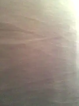 Miss oliviaa online show from 11-13-25, 03:33