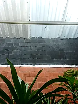 luchoarr online show from 11-14-25, 12:59