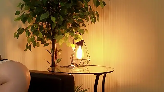 Risky dream online show from 12-14-24, 12:55