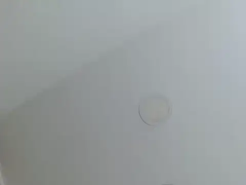 Snapshot of milfevha chatting on 02-26-26, 02:38 milfevha online show from 02-26-26, 02:38