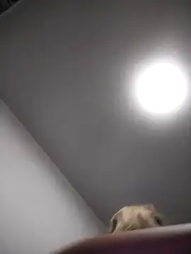 Snapshot of AudreySosa chatting on 03-13-25, 08:04 AudreySosa online show from 03-13-25, 08:04