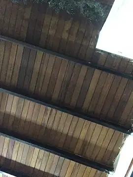 isacalejandroo online show from 01-25-25, 04:02