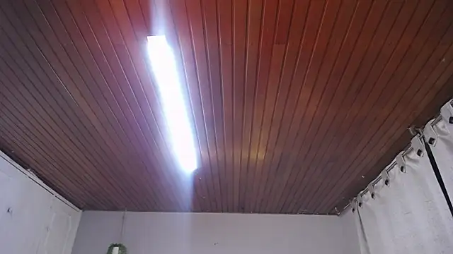 Scarllett BDSM online show from 11-29-25, 05:10