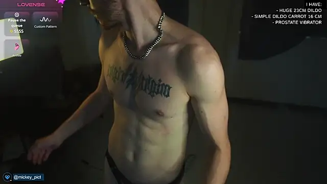 Snapshot of mickeypict chatting on 12-12-24, 02:26 mickeypict online show from 12-12-24, 02:26