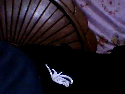 Snapshot of penesillo79 chatting on 11-21-25, 03:05 penesillo79 online show from 11-21-25, 03:05
