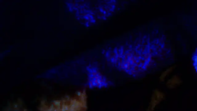 Snapshot of penesillo79 chatting on 12-18-25, 04:29 penesillo79 online show from 12-18-25, 04:29