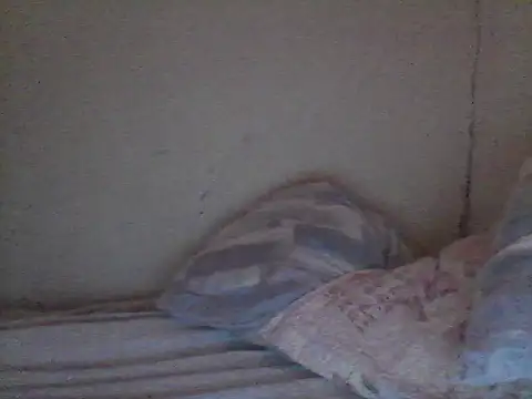 pornstarbrezillian online show from 11-13-25, 12:48