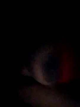 pornstarbrezillian online show from 11-15-25, 04:54