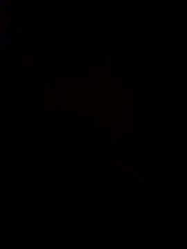 pornstarbrezillian online show from 11-24-25, 08:25