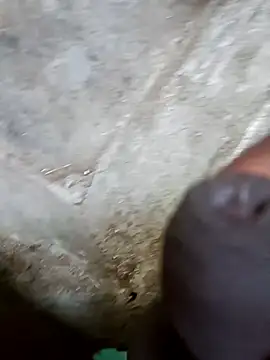 jellydicks online show from 12-29-24, 11:18