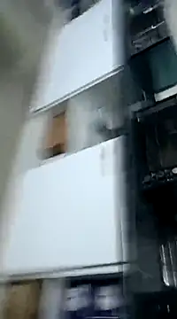 pedritolobito online show from 12-03-24, 01:41