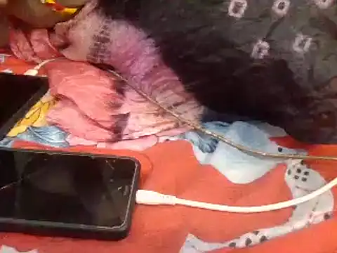 Snapshot of naina-80 chatting on 01-13-25, 07:43 naina-80 online show from 01-13-25, 07:43