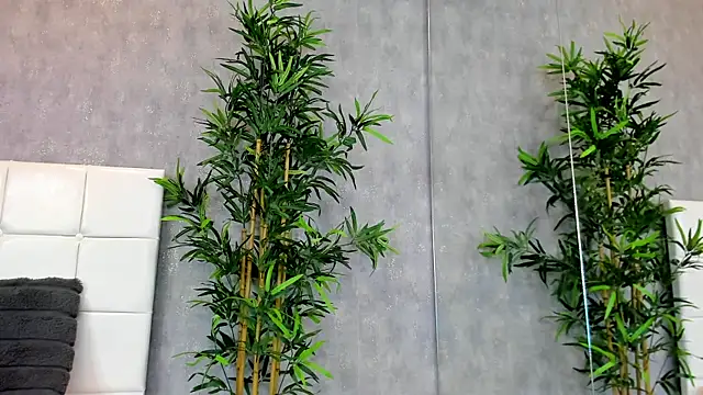 Snapshot of KatelynSparks chatting on 01-28-25, 06:27 KatelynSparks online show from 01-28-25, 06:27