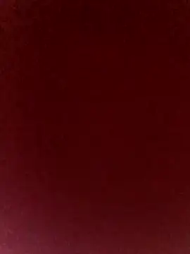 Snapshot of axelongshaft69 chatting on 05-13-26, 07:55 axelongshaft69 online show from 05-13-26, 07:55