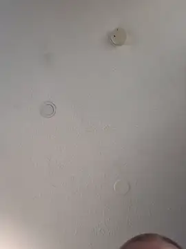 geilerschwanz64 online show from 03-14-25, 08:17