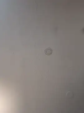 geilerschwanz64 online show from 03-19-25, 12:59