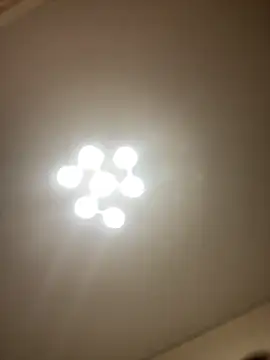 Janet Welder online show from 03-11-26, 08:48