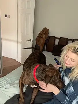 torilux online show from 01-31-25, 08:43