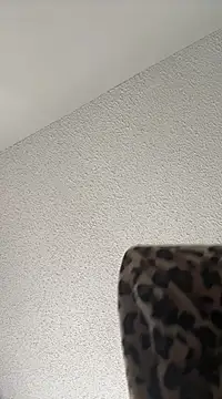 torilux online show from 02-22-25, 02:52