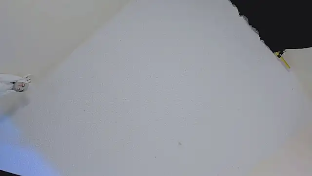 missycanoo online show from 10-22-25, 12:44