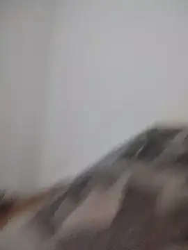 Satiro Sevilla online show from 02-24-26, 12:19