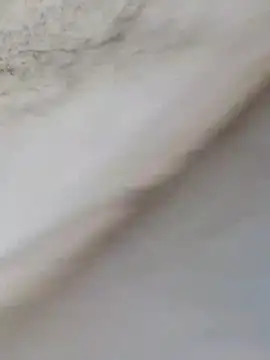 MrNick74 online show from 12-22-25, 12:24