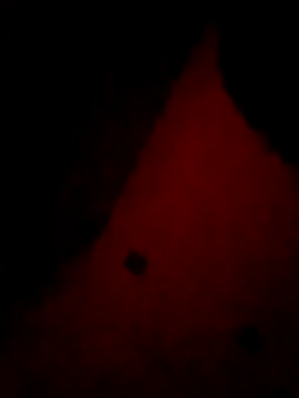 Mieto  online show from 04-17-26, 03:20