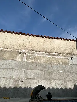 Leo bunny hot online show from 09-18-25, 08:11