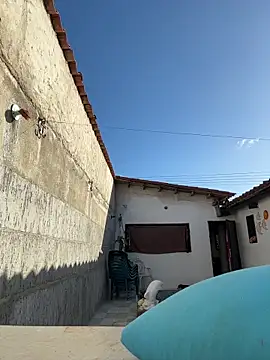 Leo bunny hot online show from 12-13-25, 08:25