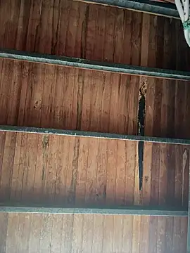 Leo bunny hot online show from 01-18-26, 08:23