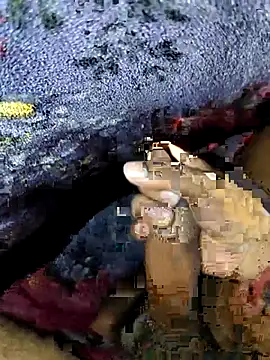 Snapshot of Kolkataboiy chatting on 09-24-25, 02:59 Kolkataboiy online show from 09-24-25, 02:59