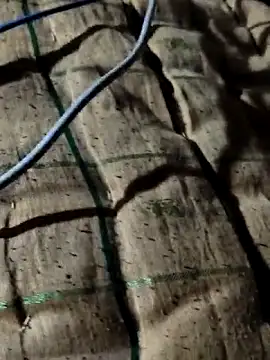 Snapshot of Kolkataboiy chatting on 10-02-25, 10:50 Kolkataboiy online show from 10-02-25, 10:50