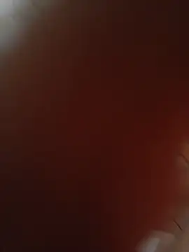 Snapshot of jetasor-8 chatting on 05-24-26, 05:34 jetasor-8 online show from 05-24-26, 05:34