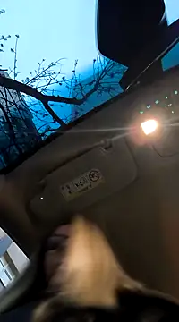 Snapshot of SukyGirl chatting on 02-03-25, 05:40 SukyGirl online show from 02-03-25, 05:40