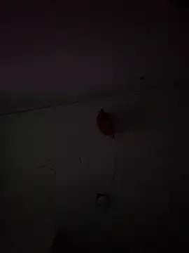 Snapshot of Carolinen chatting on 02-03-25, 09:50 Carolinen online show from 02-03-25, 09:50