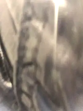 Snapshot of Diamond_Bunny_ chatting on 09-24-25, 03:04 Diamond Bunny online show from 09-24-25, 03:04