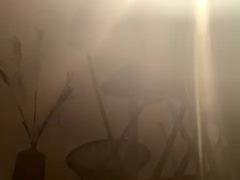 Snapshot of mesetti chatting on 12-08-24, 03:13 mesetti online show from 12-08-24, 03:13