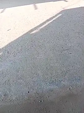 Snapshot of sexsexbo chatting on 01-15-26, 07:57 sexsexbo online show from 01-15-26, 07:57