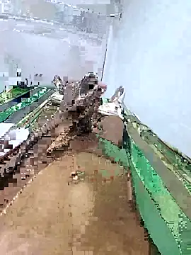 Pathirajasenerath online show from 10-23-25, 09:02