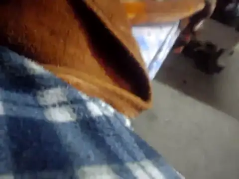 licalo56 online show from 01-12-26, 11:10