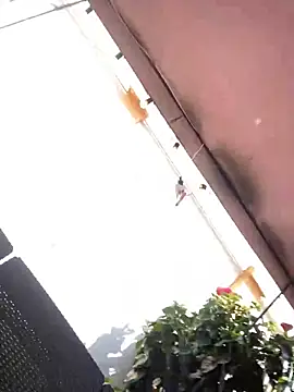 Snapshot of Praga_Pink chatting on 12-11-24, 05:59 Praga Pink online show from 12-11-24, 05:59