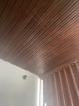 Praga Pink online show from 03-03-26, 02:12