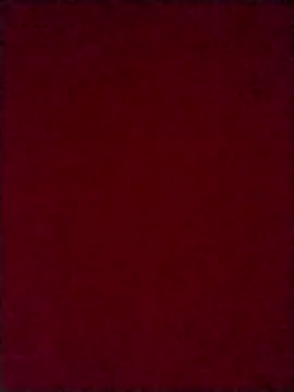 Luci foxx online show from 10-08-25, 03:59