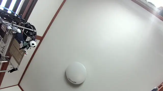 Snapshot of tuki_fu chatting on 12-08-24, 03:10 tuki fu online show from 12-08-24, 03:10