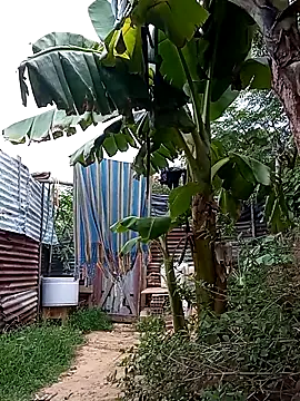 tayson  online show from 03-14-25, 11:34