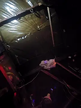 Jamixxxdress77 online show from 03-08-26, 12:08