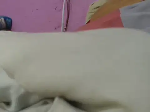 Cheliafun online show from 06-29-26, 01:33