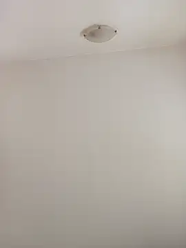 Snapshot of Virgin_Pussy_Love chatting on 10-21-25, 11:55 Virgin Pussy Love online show from 10-21-25, 11:55