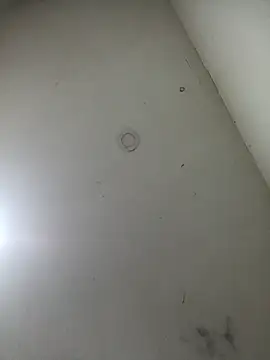 Snapshot of jeremiabello chatting on 03-17-25, 10:49 jeremiabello online show from 03-17-25, 10:49